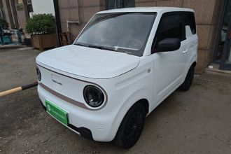 吉利银河 2023款 熊猫mini 200km 耐力熊
