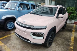 东风纳米 纳米BOX 2022款 追风版 331KM 标准型