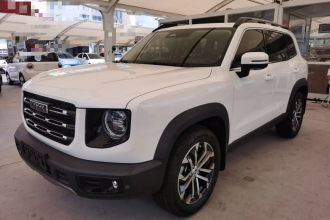 哈弗大狗 2021款 1.5T DCT两驱边牧版