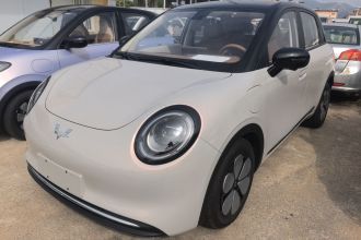 五菱汽车 缤果Pro 2026款 330km 尊享款