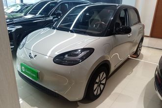 五菱汽车 五菱缤果 2023款 410km 灵犀尊享款