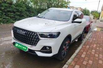 哈弗H6 2023款 国潮版 1.5T 自动冠军版