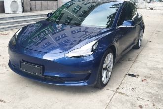 特斯拉 Model 3 2020款 改款 长续航后轮驱动版