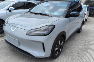 五菱汽车 五菱缤果PLUS 2024款 330km 五座版