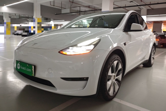 特斯拉 Model Y 2023款 长续航全轮驱动版