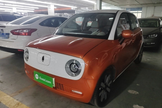 欧拉黑猫 2021款 351km 豪华型