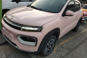 东风纳米 纳米BOX 2022款 轻风版 201KM 闪电型