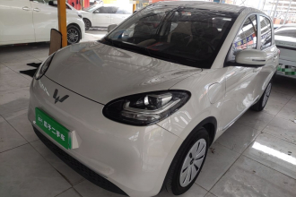五菱汽车 五菱缤果 2023款 333km 快享款