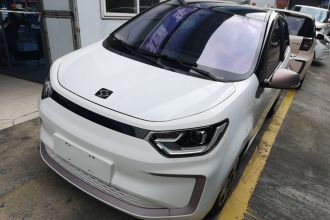 思皓 2022款 花仙子款 向日葵