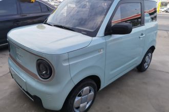吉利银河 2024款 熊猫mini 200km 耐力熊