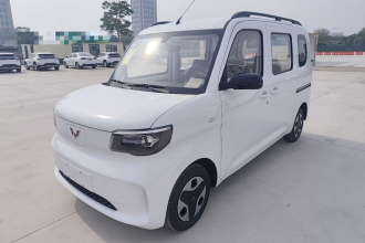 五菱汽车 五菱之光新能源 2025款 305km 进取型