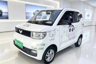 五菱汽车 宏光MINIEV 2020款 自在款 磷酸铁锂