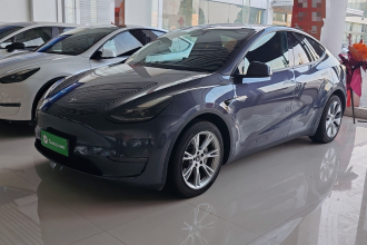 特斯拉 Model Y 2021款 长续航全轮驱动版