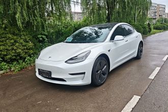 特斯拉 Model 3(进口) 2019款 长续航全轮驱动版