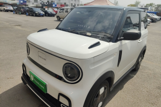 吉利银河 2024款 200km 熊猫卡丁