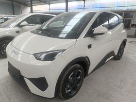 比亚迪 海鸥 2025款 智驾版 305km 自由版