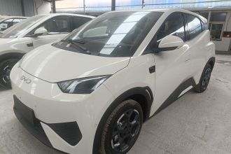 比亚迪 海鸥 2025款 智驾版 305km 自由版