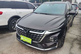 五菱汽车 五菱凯捷 2023款 2.0L DHT奢享型