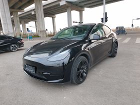 特斯拉 Model Y 2022款 后轮驱动版