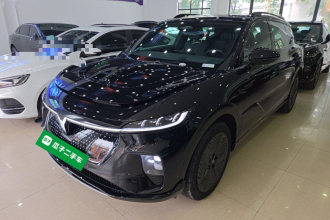岚图汽车 岚图知音 2024款 四驱全球版