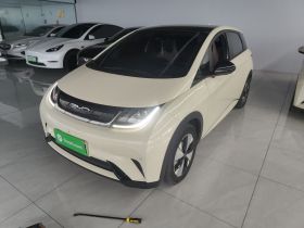 比亚迪 海豚 2023款 420km 时尚版