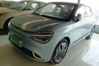 东风纳米 纳米01 2024款 430 Plus