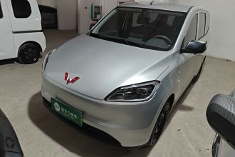 五菱汽车 五菱宏光新能源 2024款 纯电版 300KM 标准型