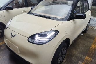 五菱汽车 五菱缤果 2025款 333km 悦享款