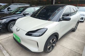 五菱汽车 五菱缤果PLUS 2024款 510km 五座版