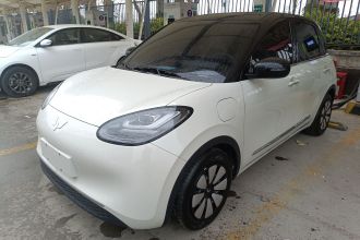 五菱汽车 五菱缤果 2024款 333km 悦享款