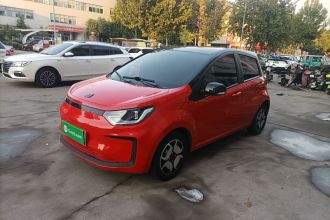 思皓 花仙子 2021款 302km 豪华型 30.2kWh