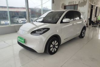 五菱汽车 五菱缤果 2024款 333km 悦享款