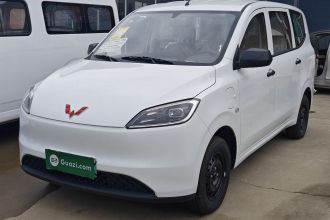 五菱汽车 五菱宏光新能源 2024款 纯电版 300KM 标准型