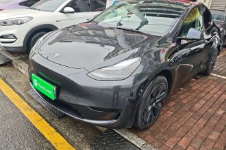 特斯拉 Model Y 2024款 后轮驱动版