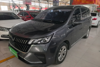 五菱汽车 五菱佳辰 2022款 1.5T 手动轻享活力型