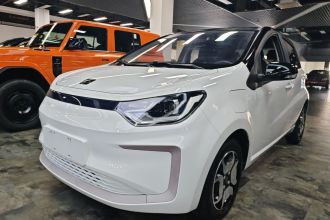 思皓 花仙子 2021款 302km 豪华型 31.4kWh