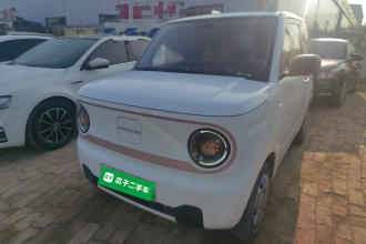 吉利银河 2023款 熊猫mini 120km 超萌熊