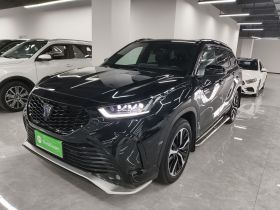 丰田 皇冠陆放 2021款 2.5L HEV四驱尊贵版