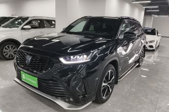 丰田 皇冠陆放 2021款 2.5L HEV四驱尊贵版