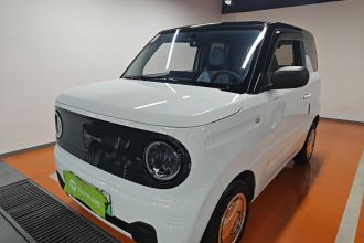吉利银河 2024款 熊猫mini 200km 耐力熊