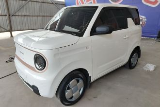 吉利银河 2024款 熊猫mini 200km 耐力熊