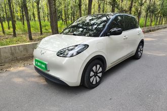 五菱汽车 五菱缤果 2024款 333km 悦享款
