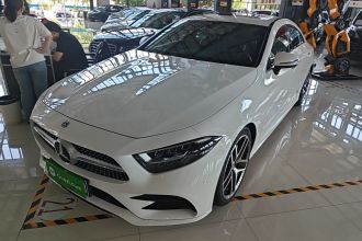 奔驰CLS 2020款 CLS 300 动感型