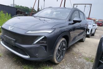 五菱汽车 五菱星光S 2024款 130km 旗舰型