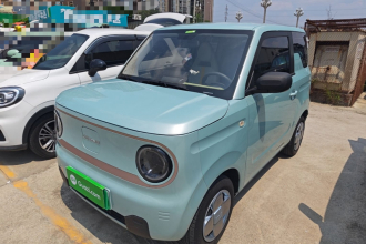 吉利银河 2023款 熊猫mini 200km 耐力熊