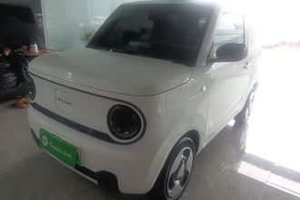 吉利银河 2023款 熊猫mini 200km 灵动熊