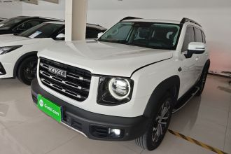 哈弗大狗 2021款 1.5T DCT两驱边牧-旺财版