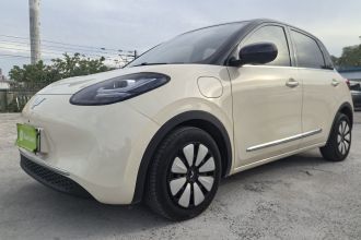 五菱汽车 五菱缤果 2025款 333km 灵犀尊享款