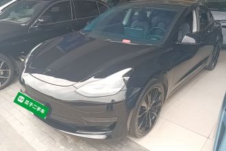 特斯拉 Model 3 2020款 改款 长续航后轮驱动版