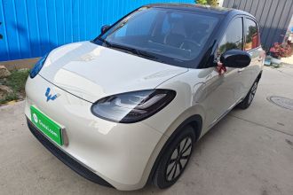 五菱汽车 五菱缤果 2024款 333km 灵犀互联款
